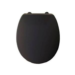Armitage Shanks Contour 21 Small Seat & Cover with fittings in Black S405666