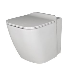 Porcelanosa  Noken N436024007 ESSENCE C EU SC SEAT HINGE FIXI  KIT 100144294 (HINGES ONLY)