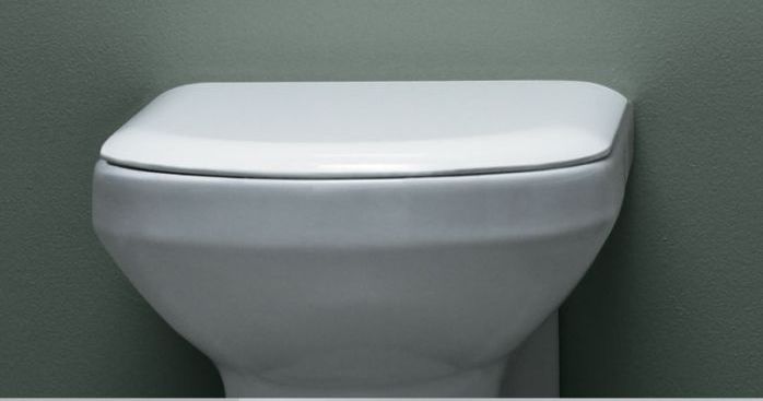 azzurra_thin_toilet_seat_and_cover_white